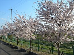 Hotel Hyper Noah - Adults Only