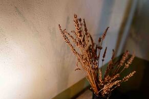 Agriturismo Bio Fattoria di Pietra