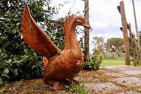 Agriturismo Bio Fattoria di Pietra