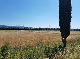 Agriturismo Bio Fattoria di Pietra