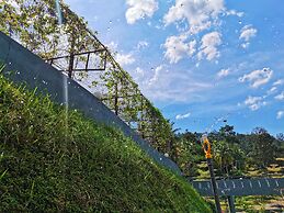 Green Peace Sungai Lembing