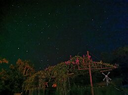 Green Peace Sungai Lembing