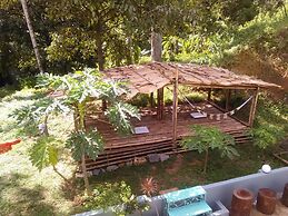 Green Peace Sungai Lembing