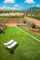 Poggiolivi Agriturismo Bio in Maremma