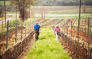 Poggiolivi Agriturismo Bio in Maremma