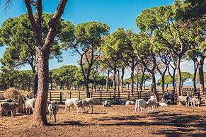 Poggiolivi Agriturismo Bio in Maremma