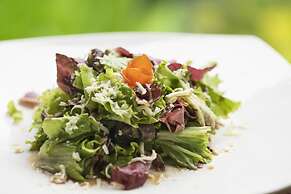 Jungle Haven Resort Central Ubud