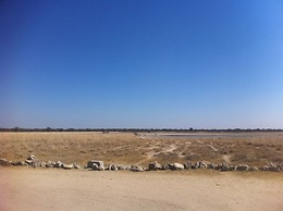 Khama Rhino Sanctuary