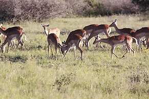 Khama Rhino Sanctuary