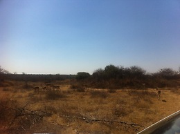 Khama Rhino Sanctuary