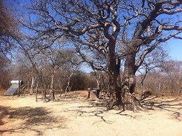 Khama Rhino Sanctuary