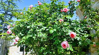 Anatolia Cave Hotel Pansion