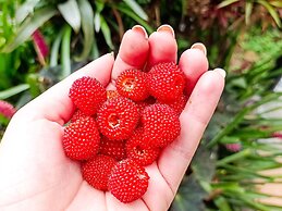 Hotel Tierra Maravilla