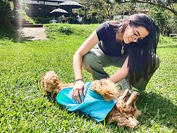 Hotel Tierra Maravilla