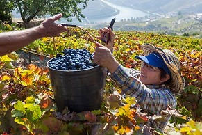 Casa de Casal de Loivos