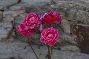 Casa de Casal de Loivos