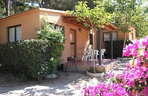 Camping Caledonia