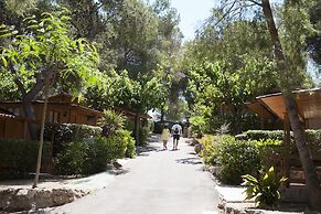 Camping Caledonia