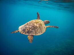 Velana Beach Hotel Maldives