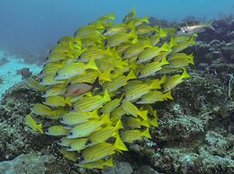 Velana Beach Hotel Maldives