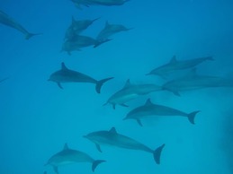 Velana Beach Hotel Maldives