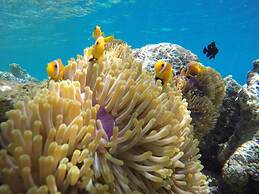 Velana Beach Hotel Maldives