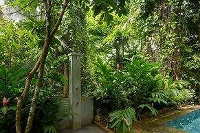 Ceylon Olive
