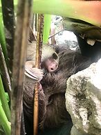 Hotel Aguas Claras Member of the Cayuga Collection