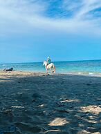 Hotel Aguas Claras Member of the Cayuga Collection