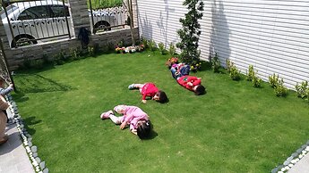 Pandora Elevator B&B