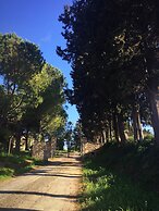 Bed & Breakfast Podere La Pace