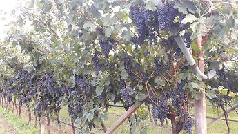 Maso Tobel Riva del Garda