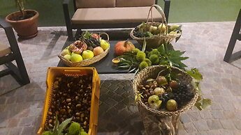 Maso Tobel Riva del Garda