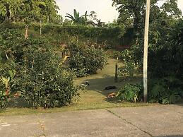 Santa Maria Bed and Breakfast