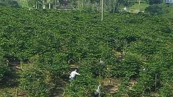 Santa Maria Bed and Breakfast