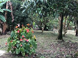 Santa Maria Bed and Breakfast