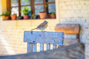 VELINN Hotel Fazenda Fonte das Hortênsias