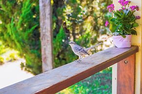 VELINN Hotel Fazenda Fonte das Hortênsias