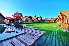 Rice Farm Villa Suratthani