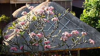 Manzelejepun Villa & Pavilion