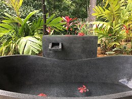 Golden Pineapple Villas