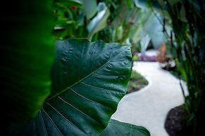 Golden Pineapple Villas