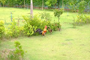 Banmai Hom Resort