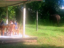 Greenwood Udawalawa Safari Resort