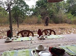 Greenwood Udawalawa Safari Resort