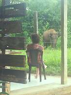 Greenwood Udawalawa Safari Resort