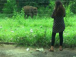 Greenwood Udawalawa Safari Resort