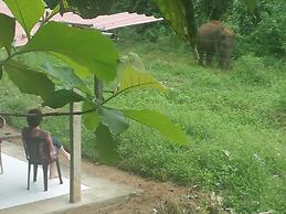 Greenwood Udawalawa Safari Resort