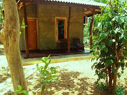 Greenwood Udawalawa Safari Resort