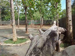 Greenwood Udawalawa Safari Resort